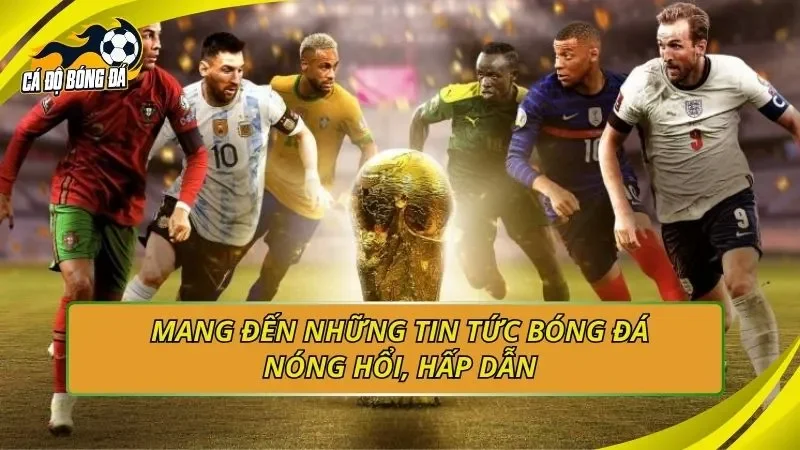 Xu hướng cá độ bóng đá 2026 - AI, Blockchain, Big Data trong cá cược thể thao