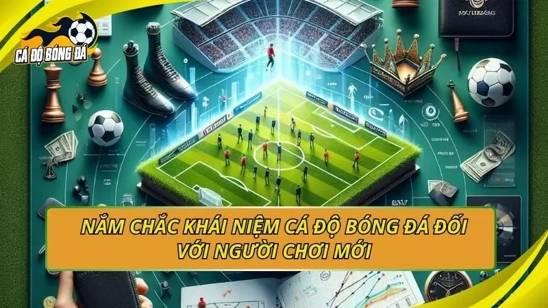 Cá độ bóng đá online là gì - Hướng dẫn cho người mới bắt đầu tại Việt Nam
